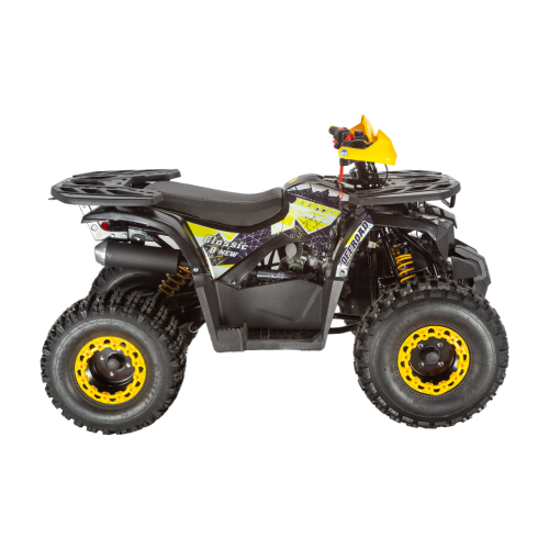 Квадроцикл AVANTIS Classic 8 New