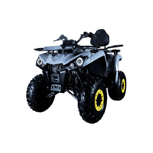 Квадроцикл AVANTIS Forester Long 200 Basic