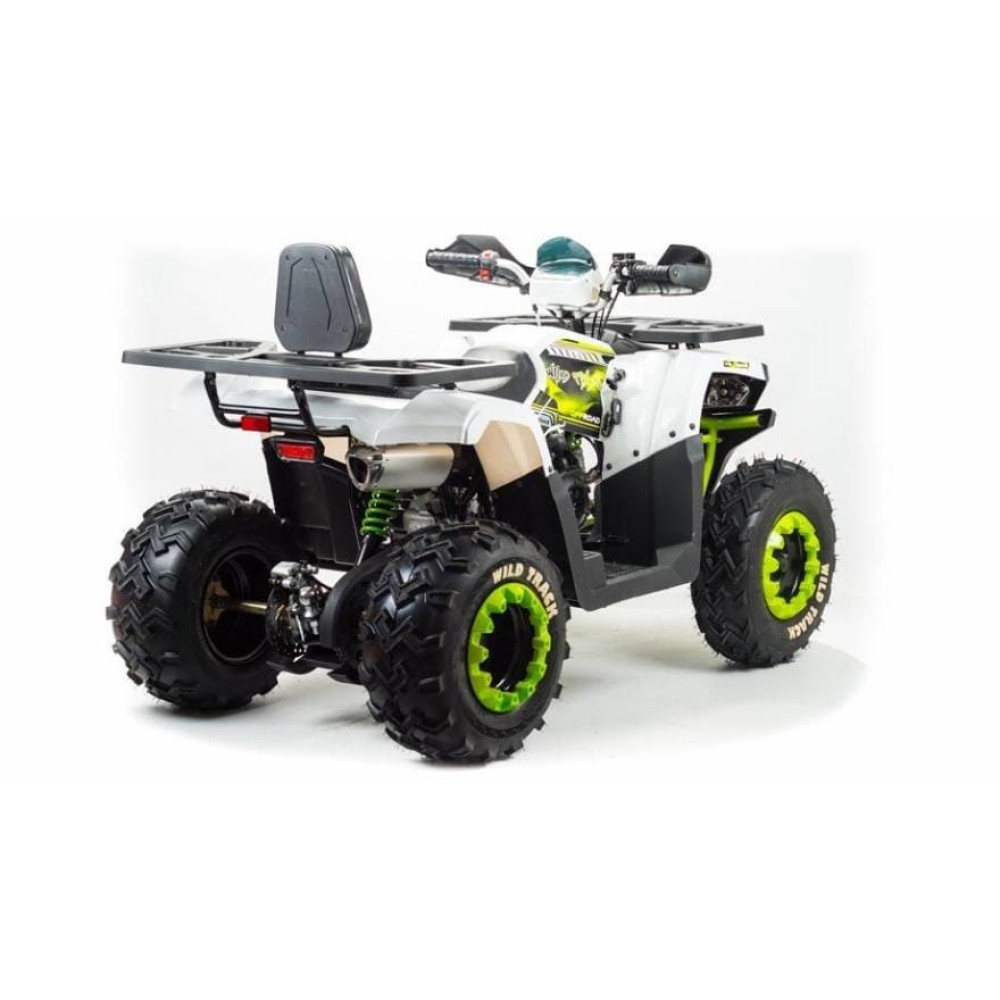 Квадроцикл MOTOLAND 200 Wild Track Lux ( Баланс. вал) (2021 Г.)