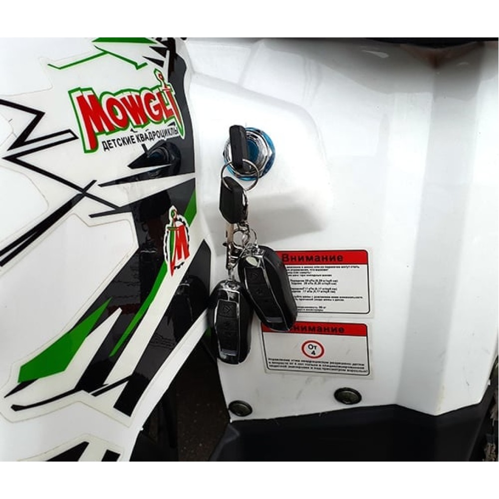 Квадроцикл MOWGLI Hardy 8