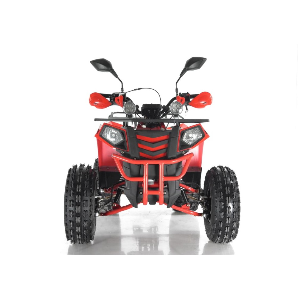 Квадроцикл RAPTOR Madman 200