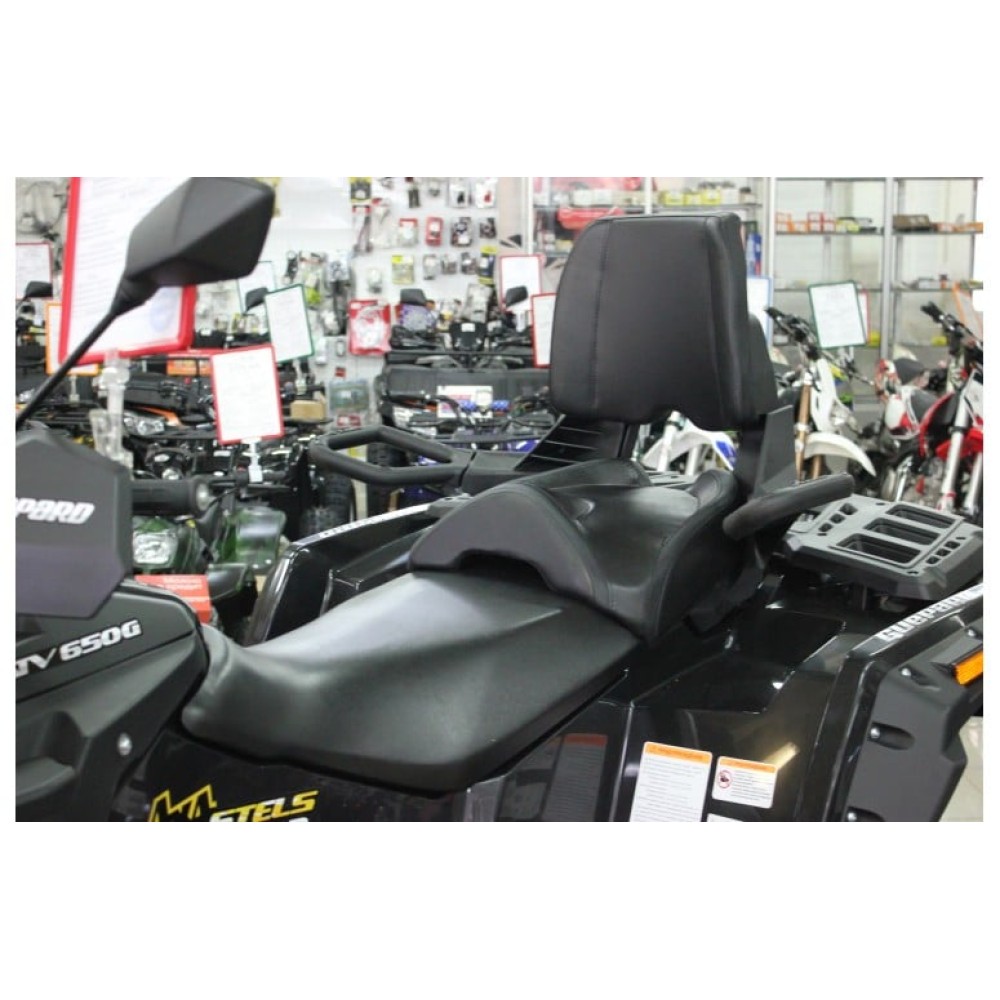 Квадроцикл STELS ATV 650 G Guepard CVTech (2021) (ПСМ)