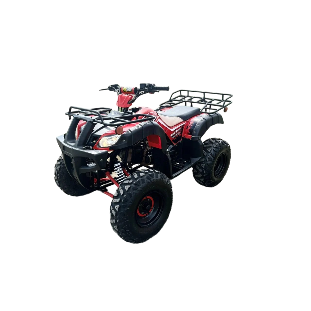 Квадроцикл RAPTOR Madman 200 All