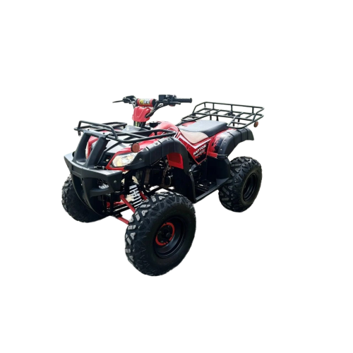 Квадроцикл RAPTOR Madman 200 All