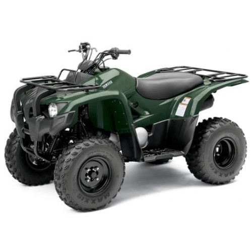 Квадроцикл YAMAHA Segway 300