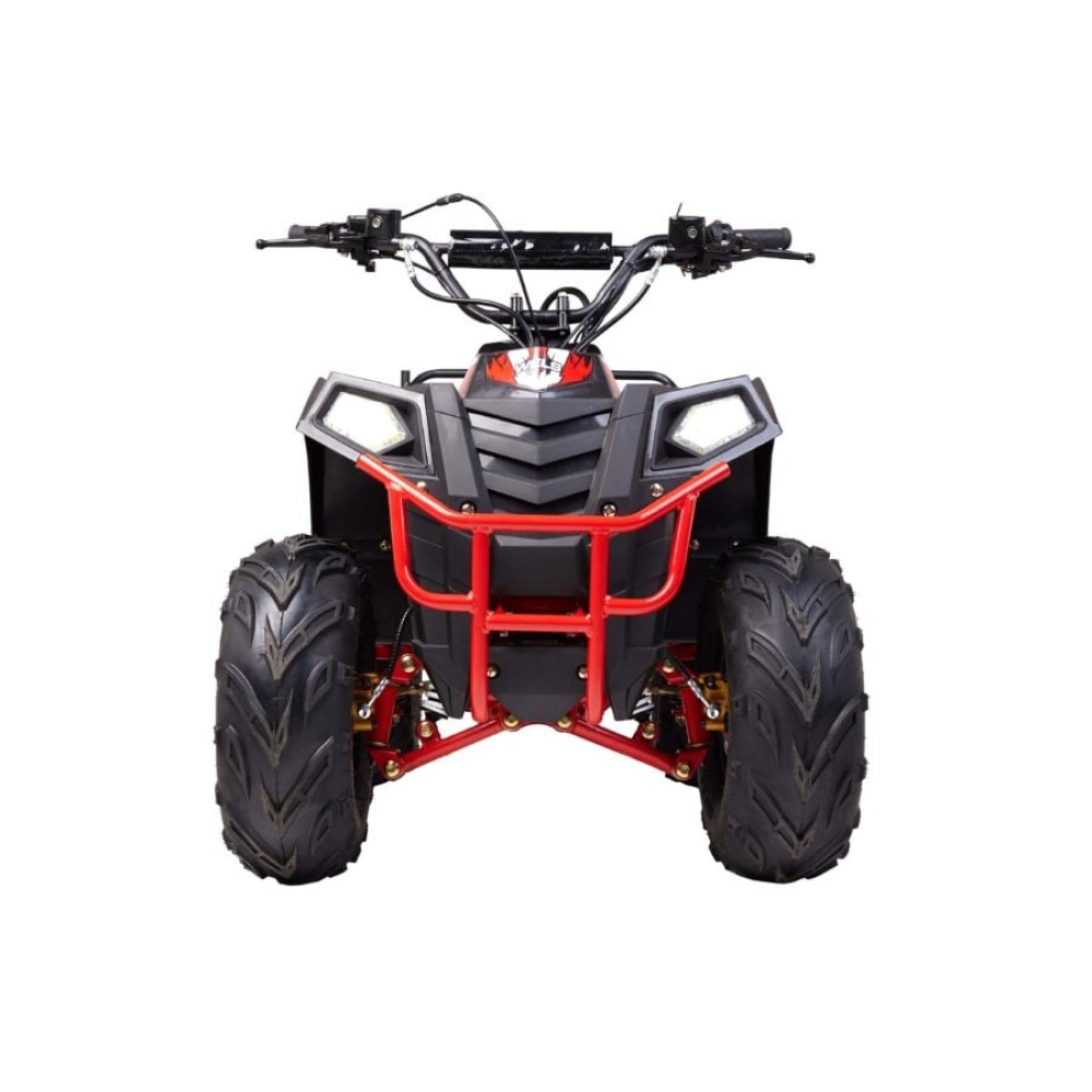 Квадроцикл RAPTOR 8