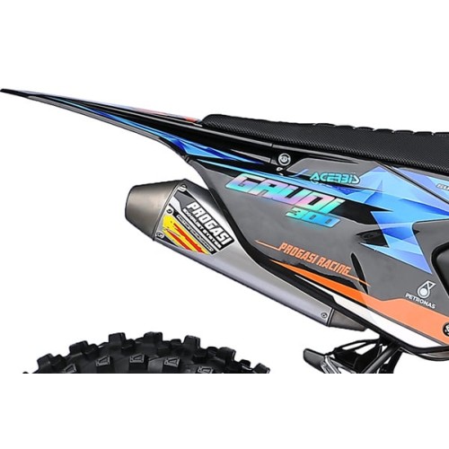 Мотоцикл кроссовый эндуро PROGASI Gaudi 300 ENDURO