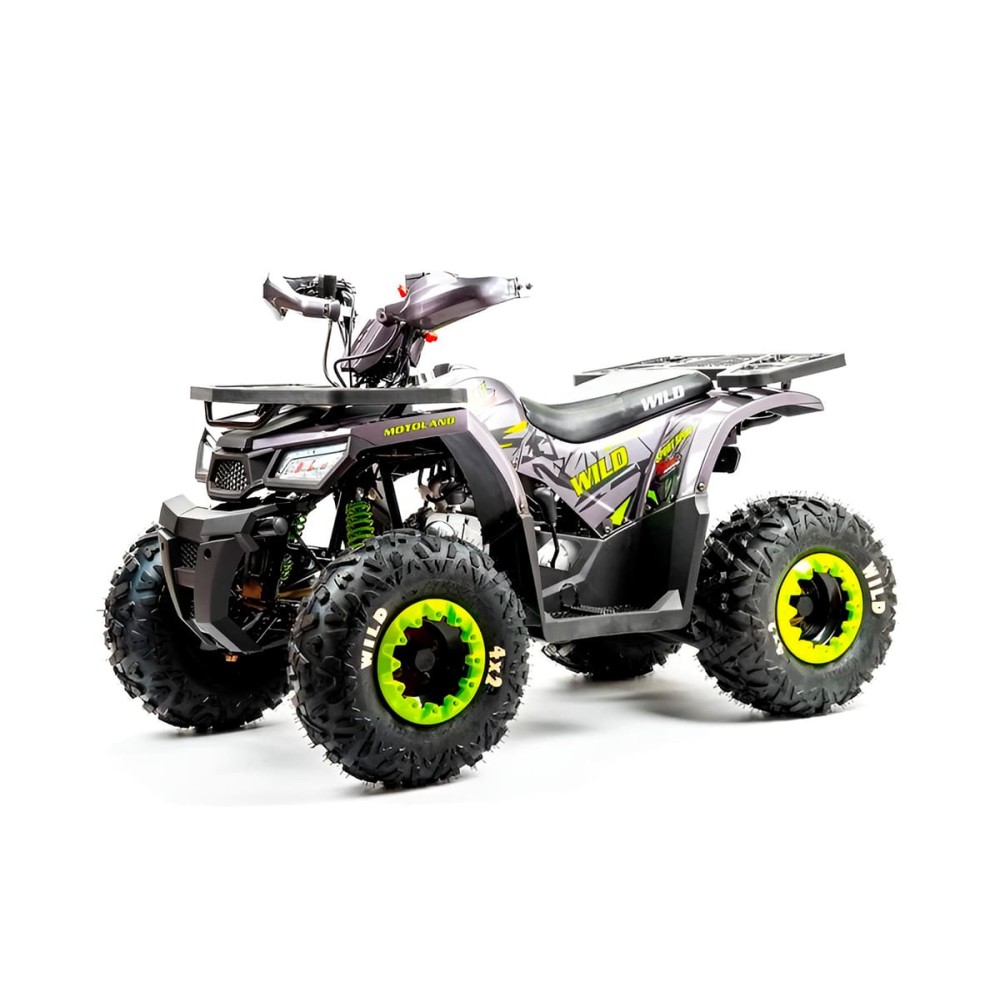 Квадроцикл MOTOLAND Wild Basic 125