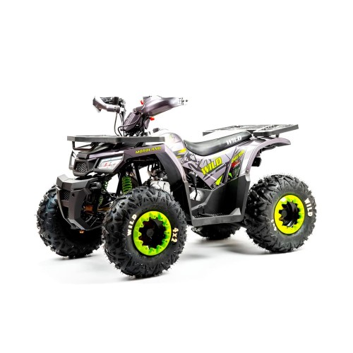 Квадроцикл MOTOLAND Wild Basic 125